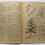 Thumbnail: TREES OF THE UNITED STATES HAYES SCHOOL PUBLISHING COMPANY 1951