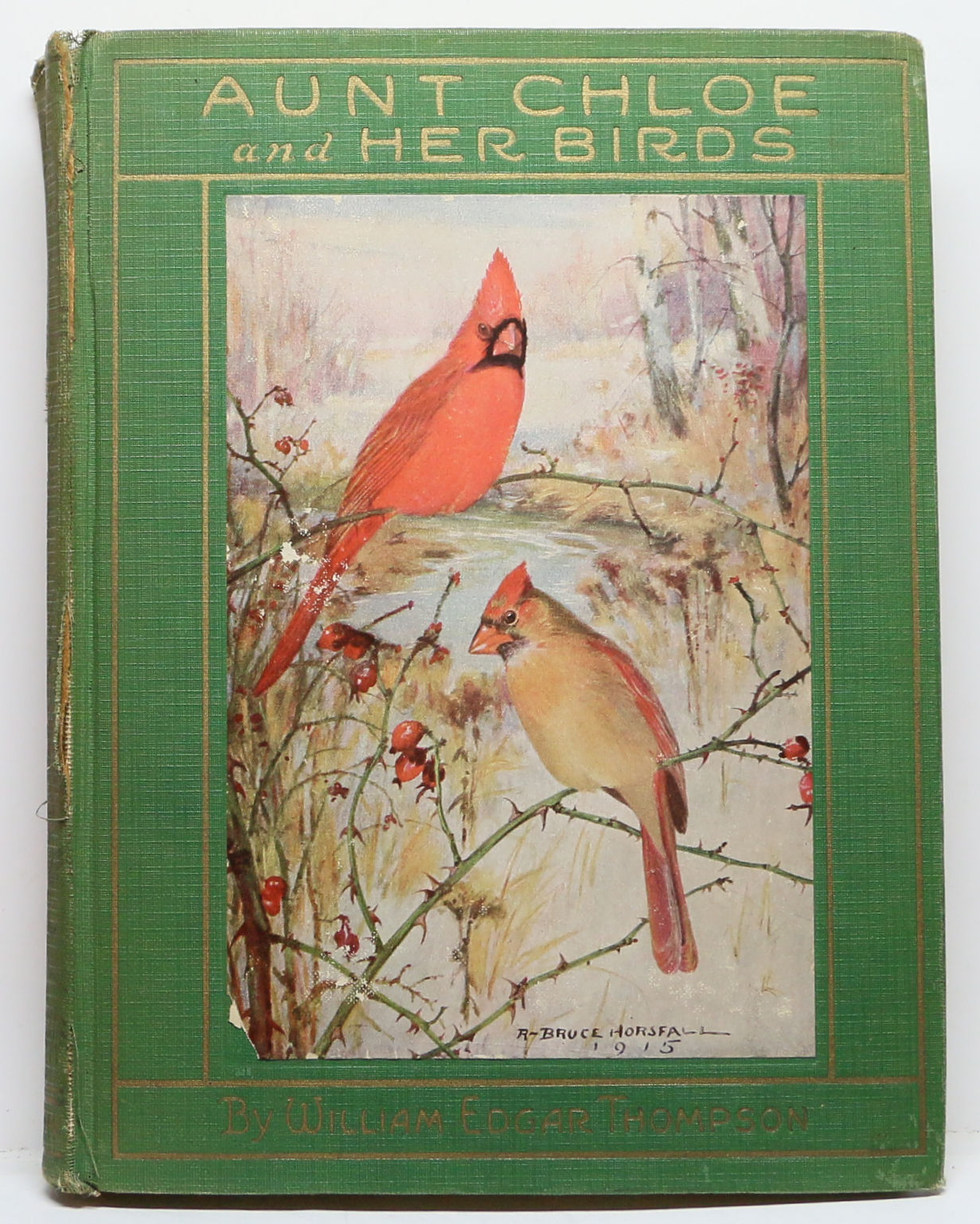 Aunt Chloe and Her Birds WILLIAM EDGAR THOMPSON 1927