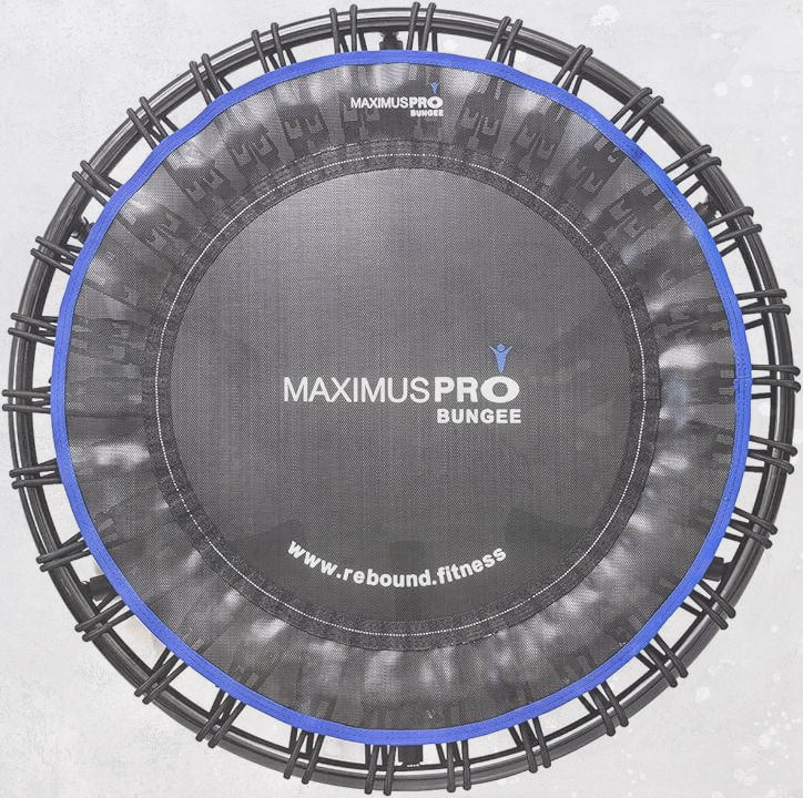 MAXIMUS PRO BUNGEE_edited