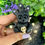 Thumbnail: Gaia - Lost Fairy Pet