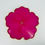 Thumbnail: Hot Pink Lilly Pad Goddess Coaster