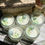 Thumbnail: Calming Eucalyptus Jade Crystal Candles
