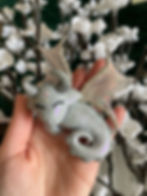 Thumbnail: Nuri - Sleeping Dragon