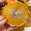 Thumbnail: Fall Amethyst Coaster Set in Orange