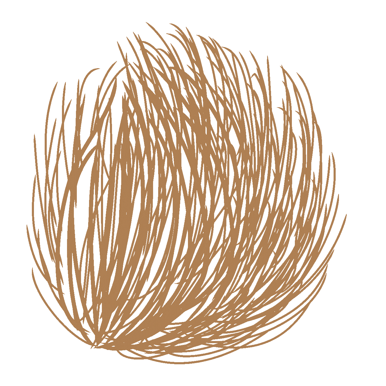 Tumbleweed mov.gif