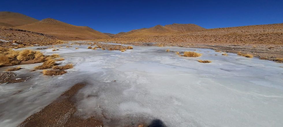 PHOTO-2022-07-08-20-22-09