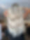 IMG_1873.jpeg