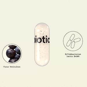 photo_kosbiotic_digest_delight.jpg