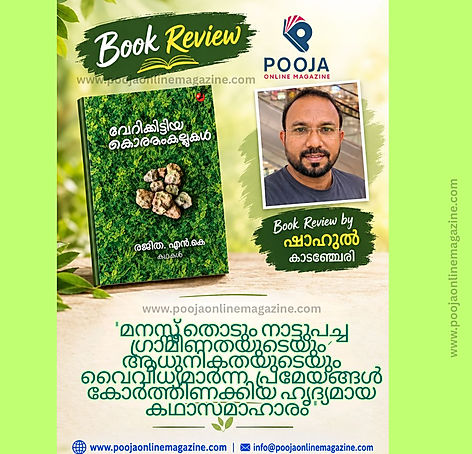 വേറികിട്ടിയ കൊത്തംകല്ലുകൾ