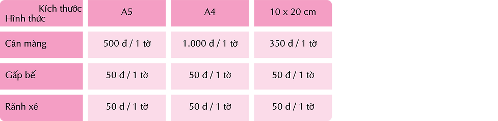 To roi in nhanh-04.png