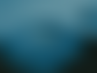 Sketches from the Top of the Hills – Mid March 2026