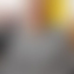 Meet the Steering Committee!