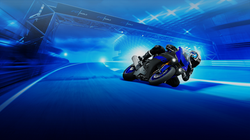 Untitled design (66)