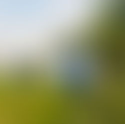 Slapen onder de sterren in Nederland