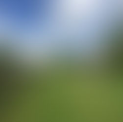 Kamperen in de tuin van een local