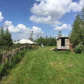 Kamperen in de tuin van een local