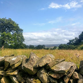 Met de bus naar Schotland