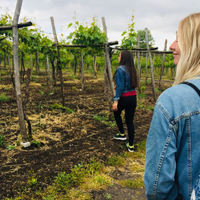 Duurzaam én (bijna) gratis reizen? Ga WWOOF-en!