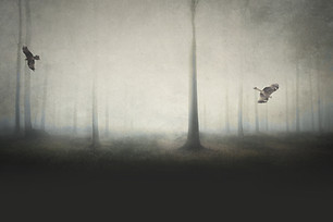 Bosque spooky