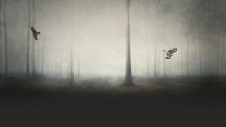 Pointless, Meaningless, Sleepless, Worthless, Lifeless