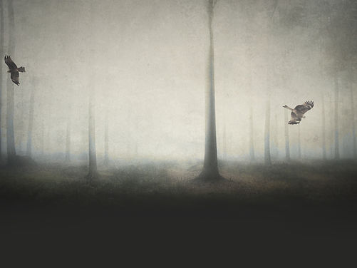 Bleak Landscape, two birds