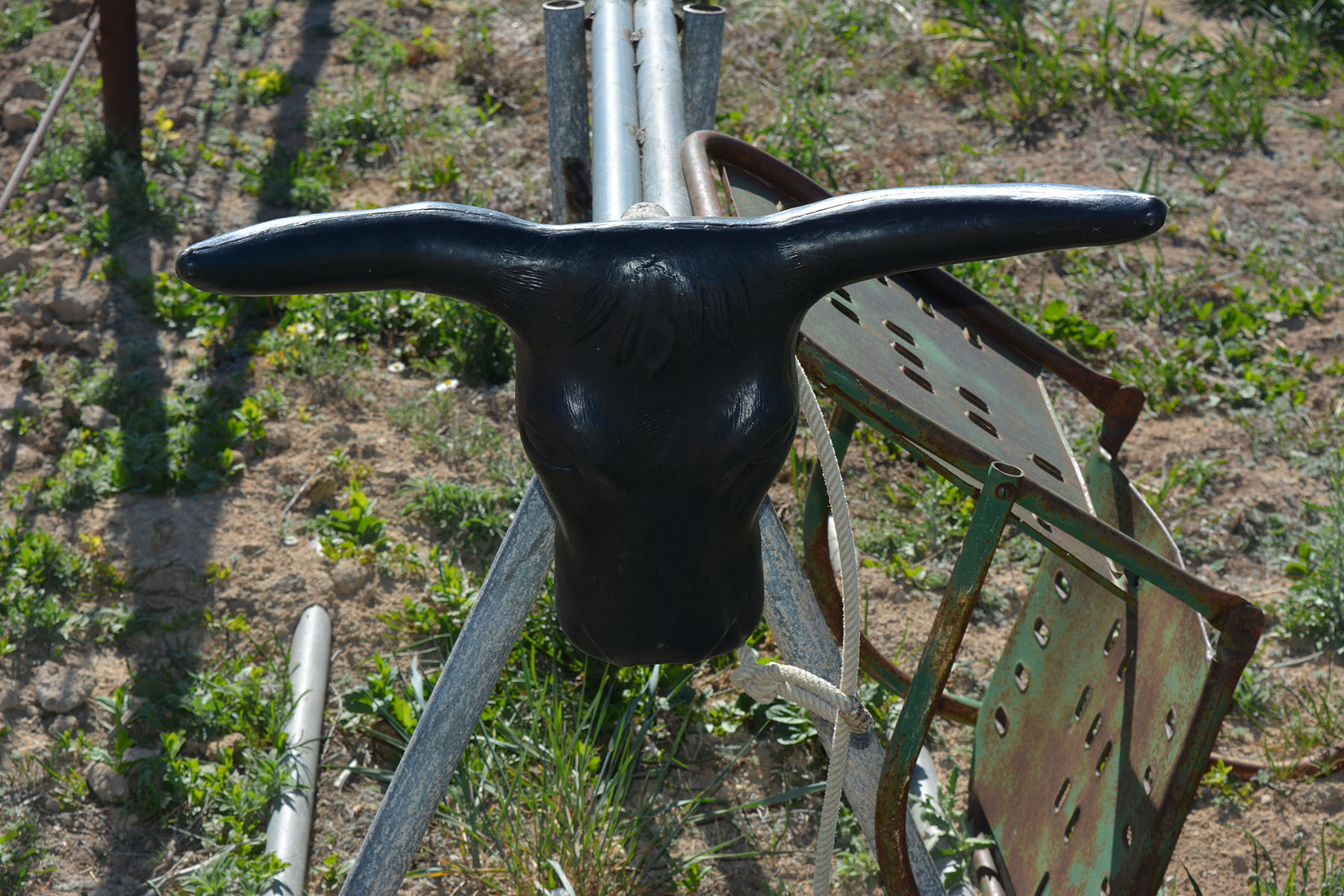 Practice Steer