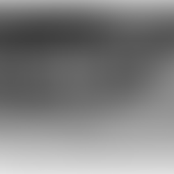 4.20 Terror in Munich: The 1972 Olympic Games