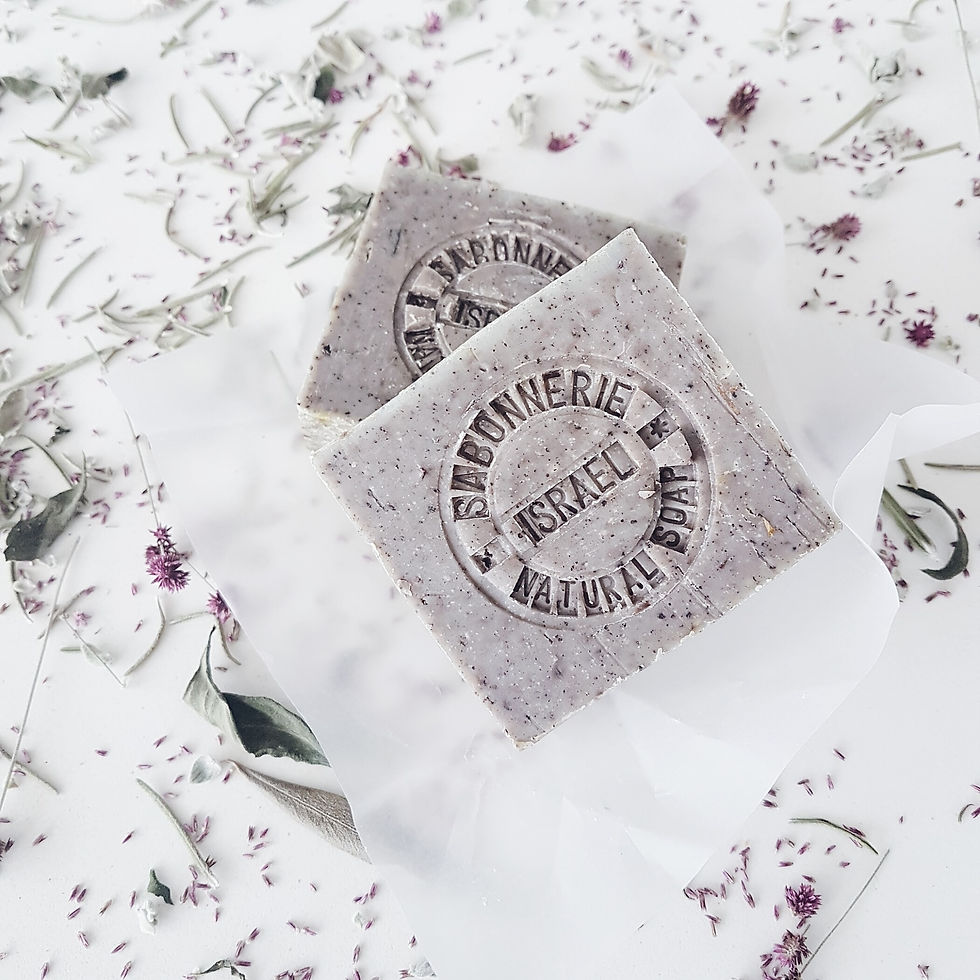 Thumbnail: EUCALYPTUS NIGHT