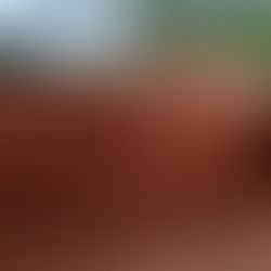 IND-B&D-(Architecture)-Indian Residential Architecture (Key Features)