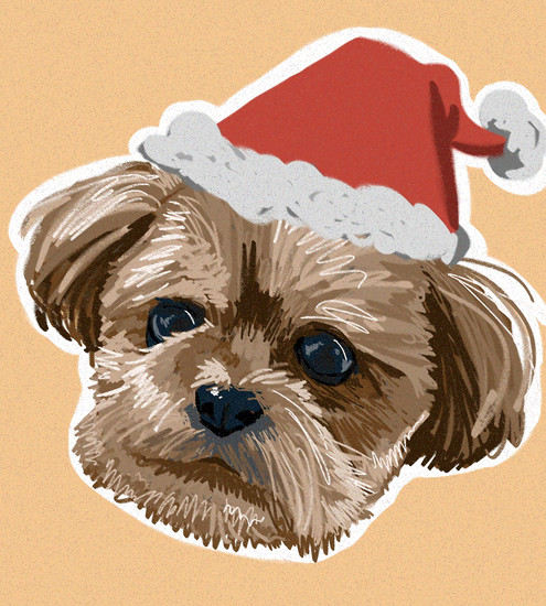 cute puppy with santa hat
