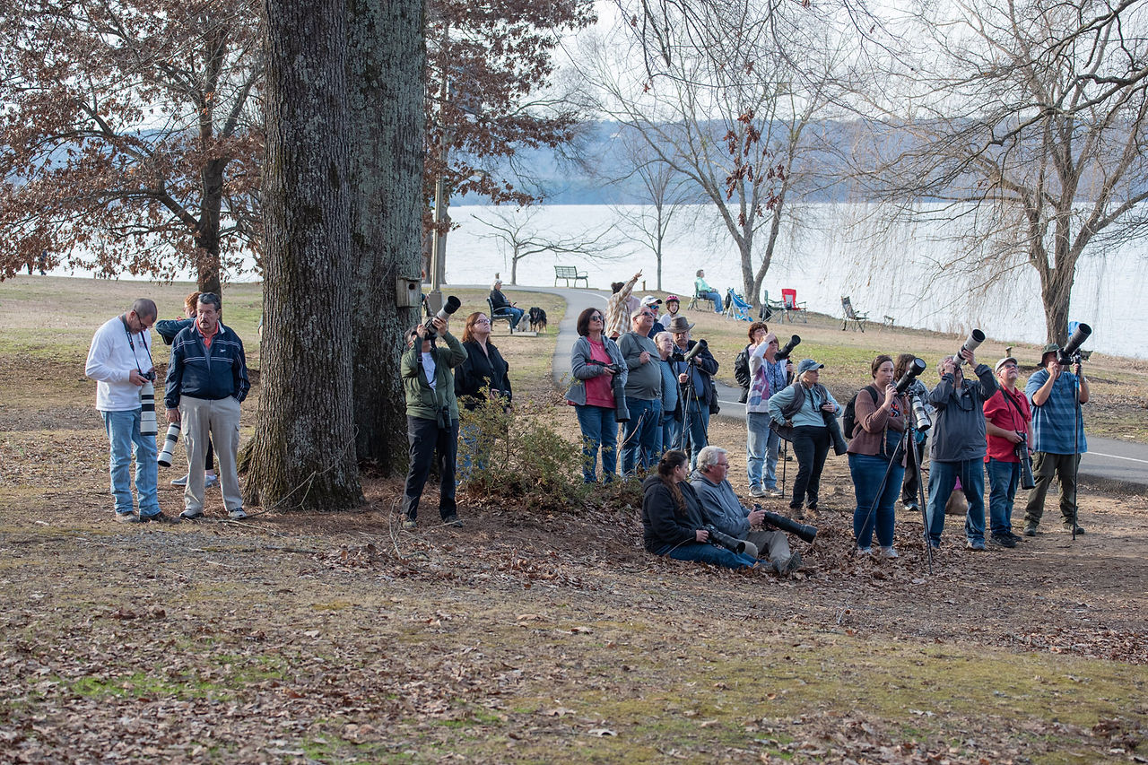 A group of photographers