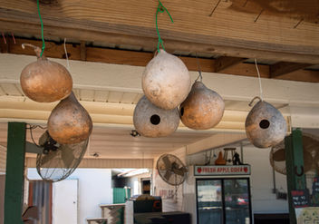 gourds hanging from ceiling