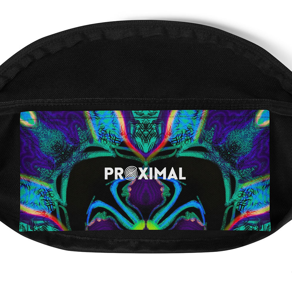 Thumbnail: Doodle Fanny Pack