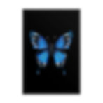 Thumbnail: Safety Butterfly Framed Poster