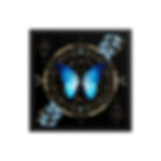 Thumbnail: Butterfly Series 2 Framed Poster