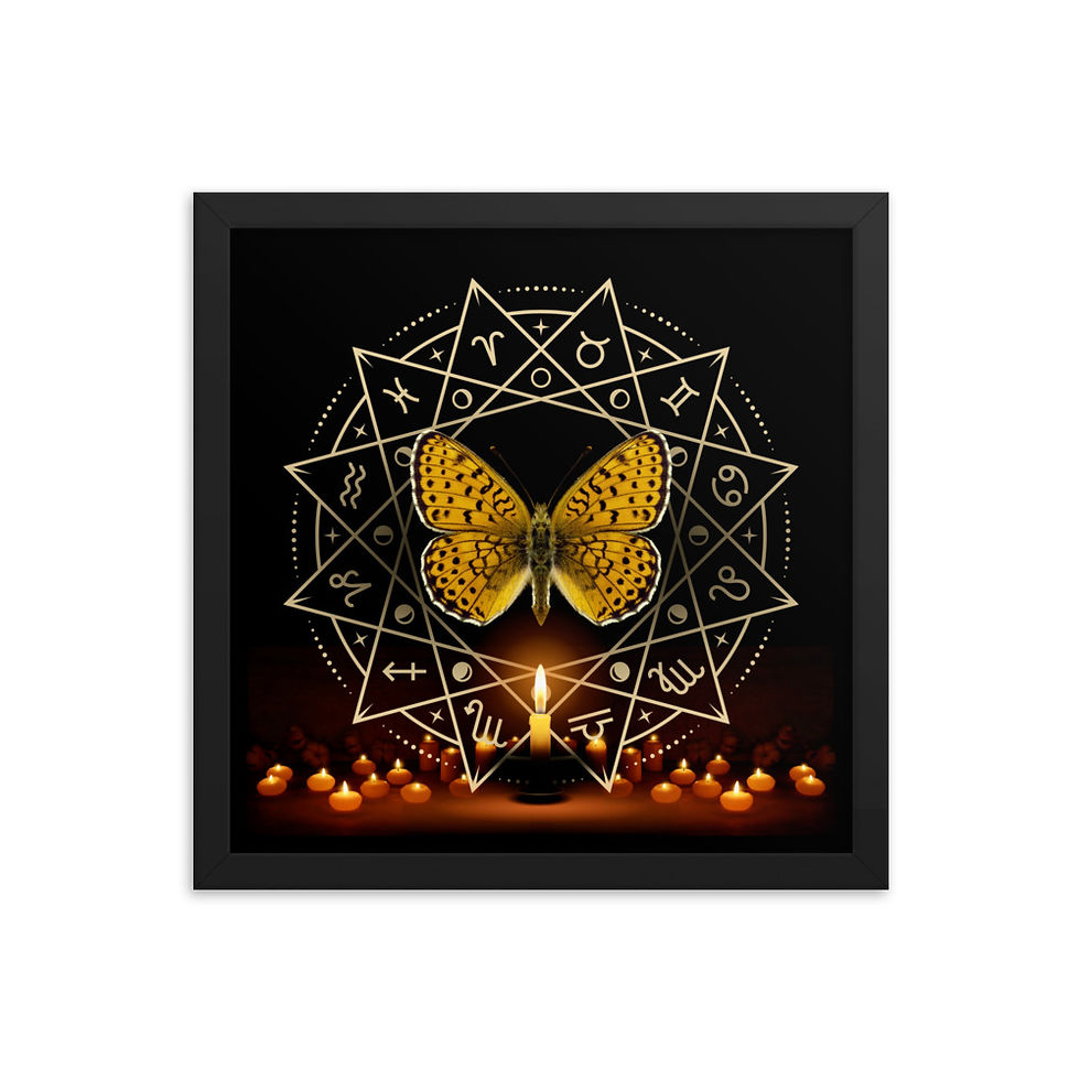 Thumbnail: Butterfly Series 1 Framed Poster