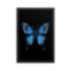Thumbnail: Safety Butterfly Framed Poster