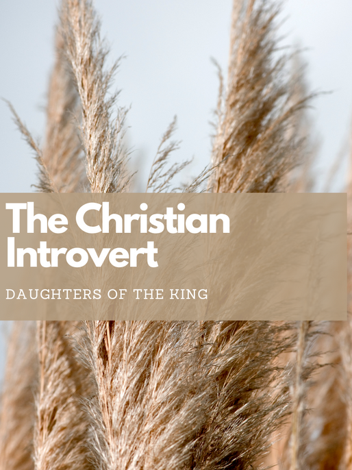 Navigating your journey with Christ as an introvert...
