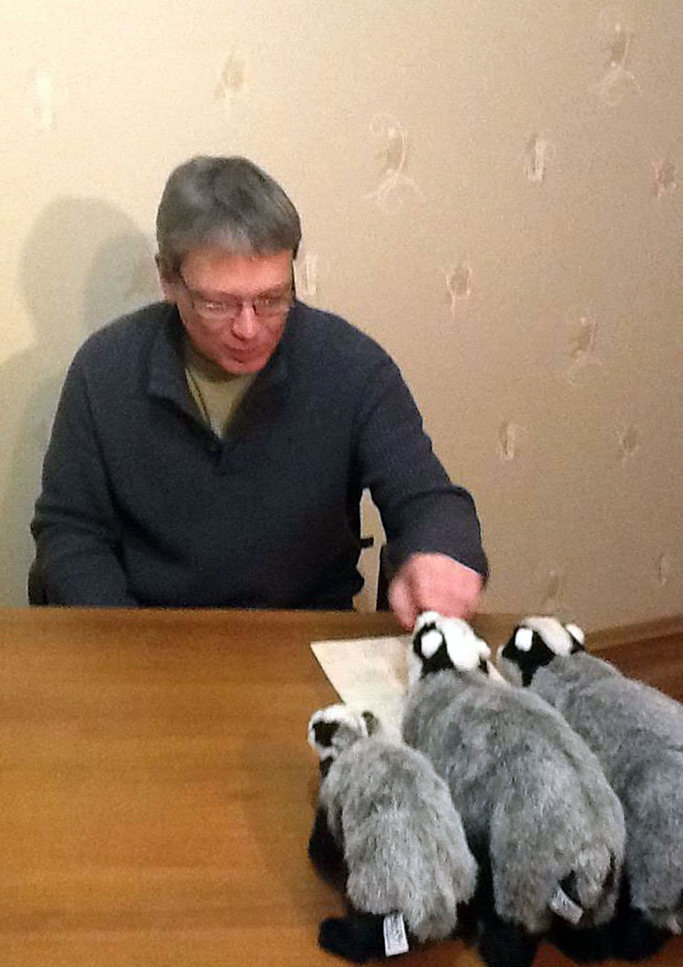 Барсуки слушают