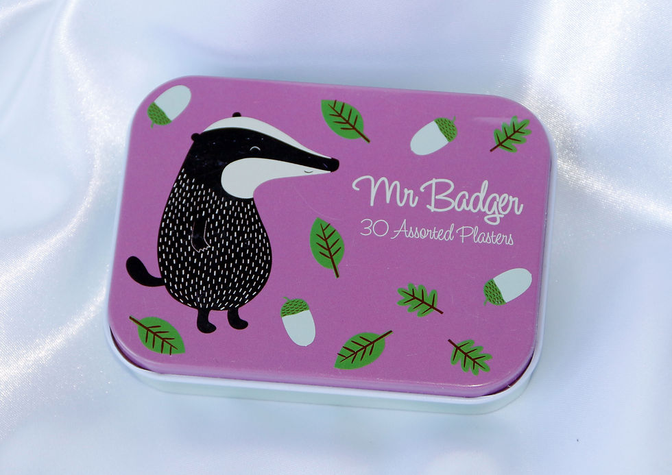 Пластырь Mr Badger