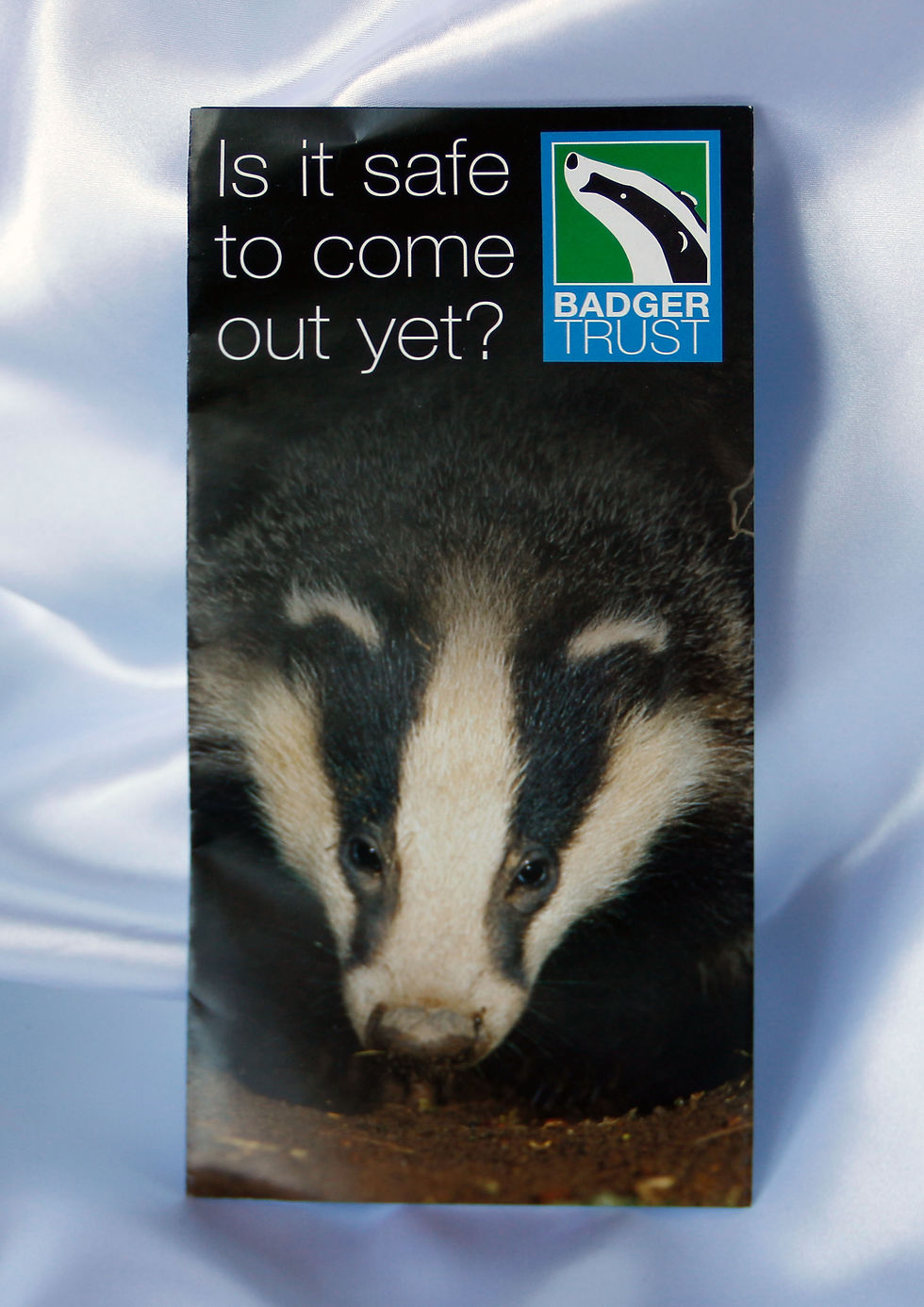 Буклет "Badger Trust"