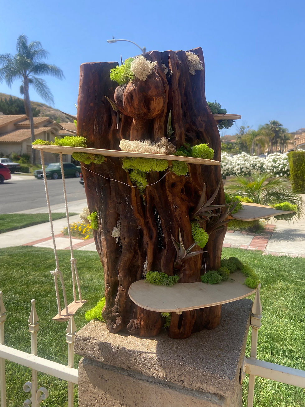 Thumbnail: Valley Mahogany Fairy Castle 