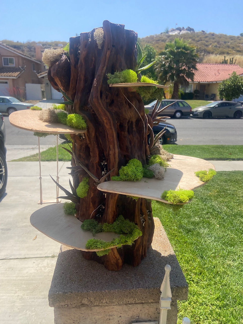 Thumbnail: Valley Mahogany Fairy Castle 