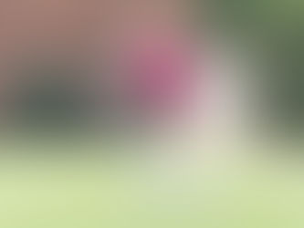 Saints Unleash Unstoppable Offensive in 12-0 Rout of Dean College