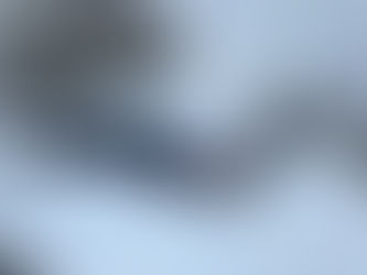 Winter Weather Protocols 