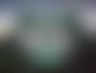 The Dean Daily at The Fenway Bowl