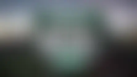 The Dean Daily at The Fenway Bowl