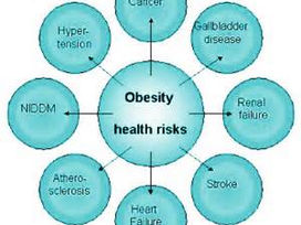 About Overweight And Obesity
