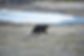 DSC_8190.JPG