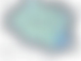 Zertifizierter Fremdenführer in Evora